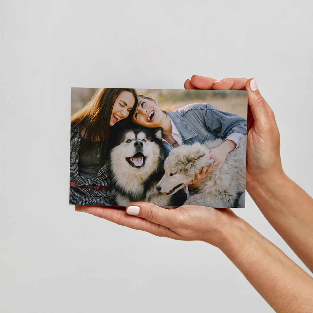 Beechwood Photo Block