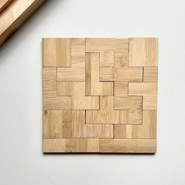 Square Geometric Puzzle